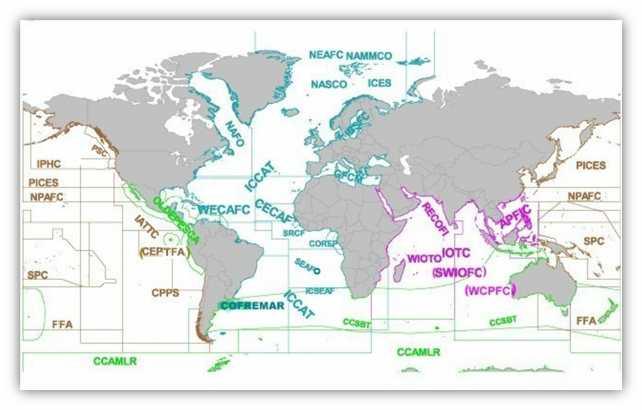 Figure 2: Map of world RFBs and RFMOs (source: FAO) Tuna and tuna-like species of the Indian Ocean The Indian Ocean is a vast expanse of maritime space, which borders east Africa, the Indian