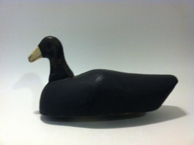 Lot 99 Bob Barnhard Coot from Northern Currituck, Southern Back Bay.