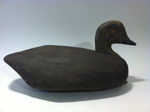 Paint loss, reduced bill, beautiful form Lot 4 Very early Black Duck