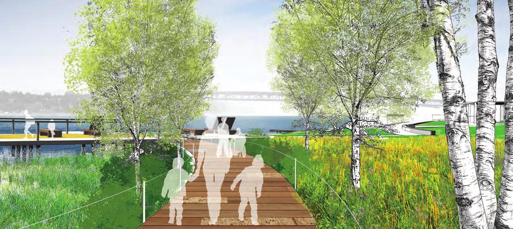 Portage Trail trail materials/ edge design to be updated