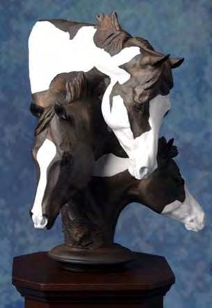 AWARDS, PLACINGS, TITELS HIGH POINT HORSES The APHA will sponsor buckles for Show High Point Horses in the following categories: Open, Open SPB, Amateur, Amateur SPB, Youth and Youth SPB.