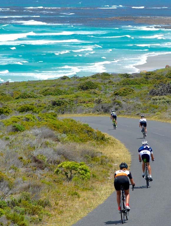 The Garden Route along the Indian Ocean comes next. Famous for tropical forests, exotic birds and plants, reed-banked rivers and pristine beaches, it offers cyclists scenic and quiet alternate routes.