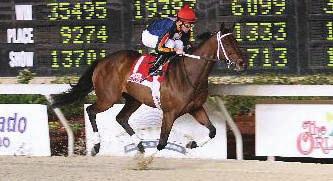 aboard Bonapaw in the 2002 Sprint and 9 th with Fantastic Cat in the 2004 Classic Reached the 3,000 win plateau on April 19, 2007 while riding at Evangeline Downs Ranked 29 th nationally in 2008 with