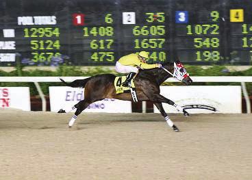 Both races are for horses bred in the Bayou State with the Lassie featuring 2-year-old fillies, and the Laddie for colts and geldings of the same age.
