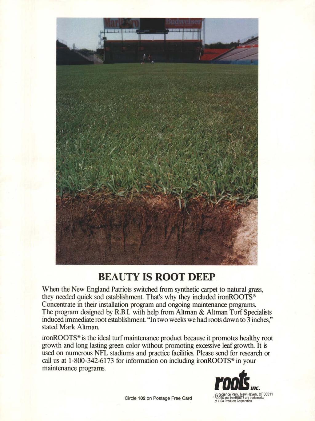BEAUTY IS ROOT DEEP When the New England Patriots switched from synthetic carpet to natural grass, they needed quick sod establishment.