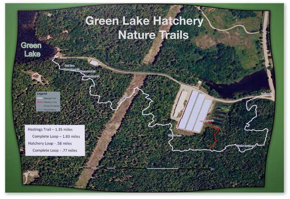 Fish Hatchery, Inc., a group active in education about Atlantic salmon and their habitat.