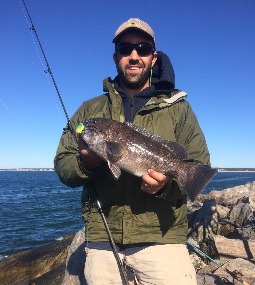 Page 18 Changes in Tautog Management Eric Schultz T autog has historically been managed as a single stock. In 2015, an effort to regionalize stock assessments had faltered.