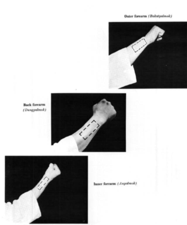 Forearm This is used for blokcing and is classified into outer, inner, back, ans under forearm.