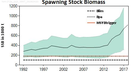 The spawning stock biomass (SSB) has been above MSY B trigger over the whole time-series with a continuous increase in the last five years and is currently at its highest level.