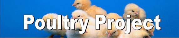(If poultry leaders cannot attend, please send one adult representative from your