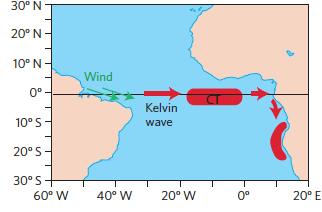 Introduction / Kelvin waves (Lübbecke, 2013) - Are excited by anomalous surface winds in the western equatorial Atlantic.