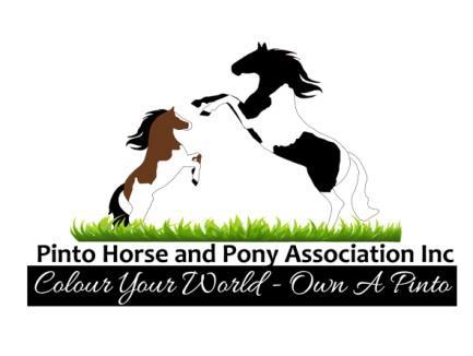 Pinto Horse & Pony Assn Inc -Hi-Point Show- 4th June 2017 ~Proudly Sponsored by PHPA Inc~ Starting 8:30 am Sharp Judge: Marie Evans VENUE: LWQHPA Grounds Swan Rd, Regency Downs Qld For Enquiries