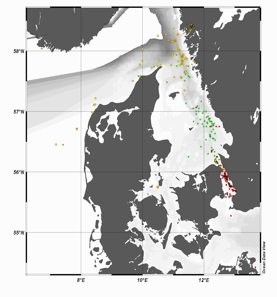 Taggings indicate different subpopulations in the area: Cod in the Skagerrak migrate towards the North Sea, whereas cod in