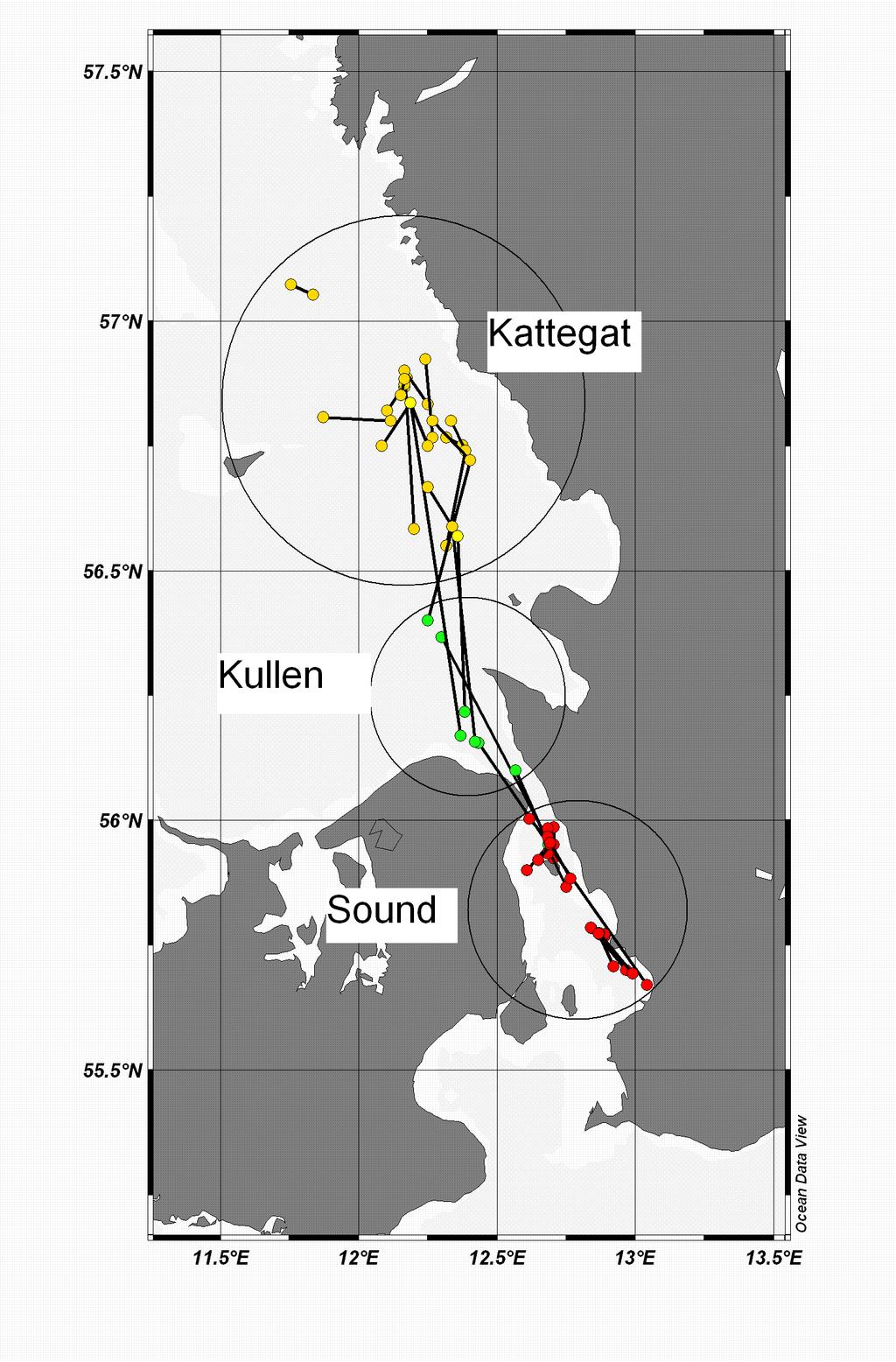 An otolith chemistry study Three putative subpopulations in the Kattegat-Sound were depicted according to their migratory history during