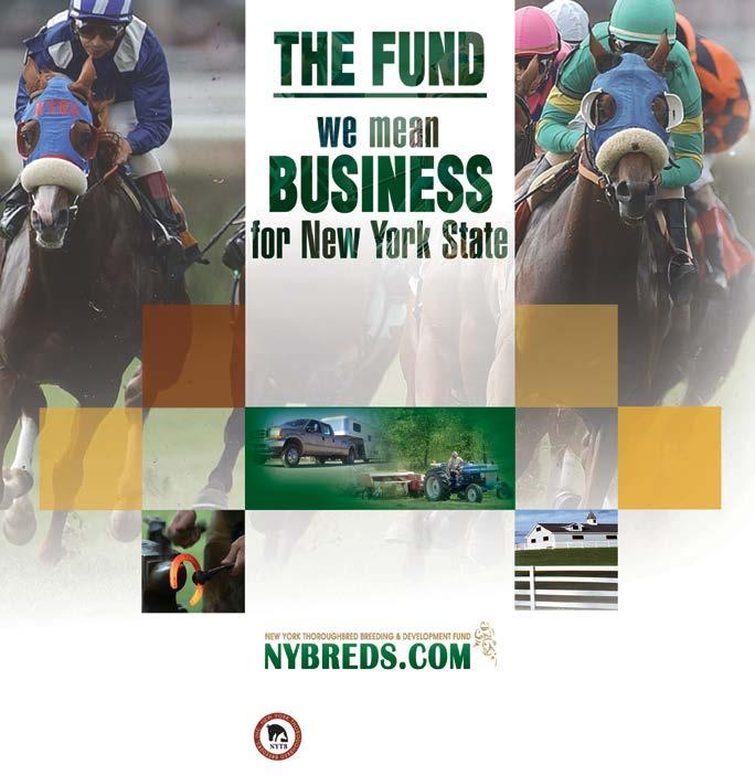 $4.2 billio n economic impact on the State Each year, the equine industry has a multi-billion-dollar economic impact on New York State.