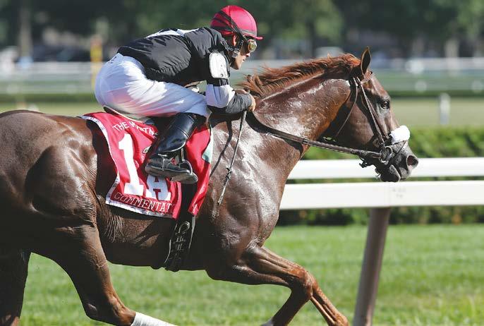 Tod Marks Talking Horse BY SEAN CLANCY The Commentator, Saturday s featured stakes, is named after the New York-bred gelding who won 14 of his 24 starts and earned more than $2 million.