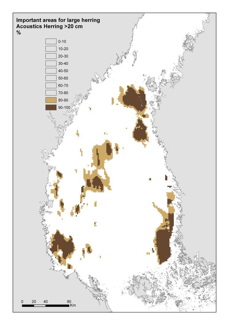 Figure 1. Important areas for large herring identified by analysing densities of herring larger than 20 cm from acoustic surveys performed in October 2007-2009.