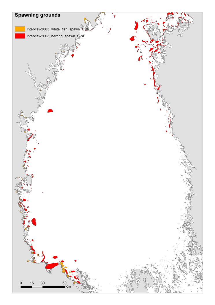 Thousand tonnes Figure 2. Spawning grounds for herring (red) and whitefish (orange) identified by interviewing local fishermen.