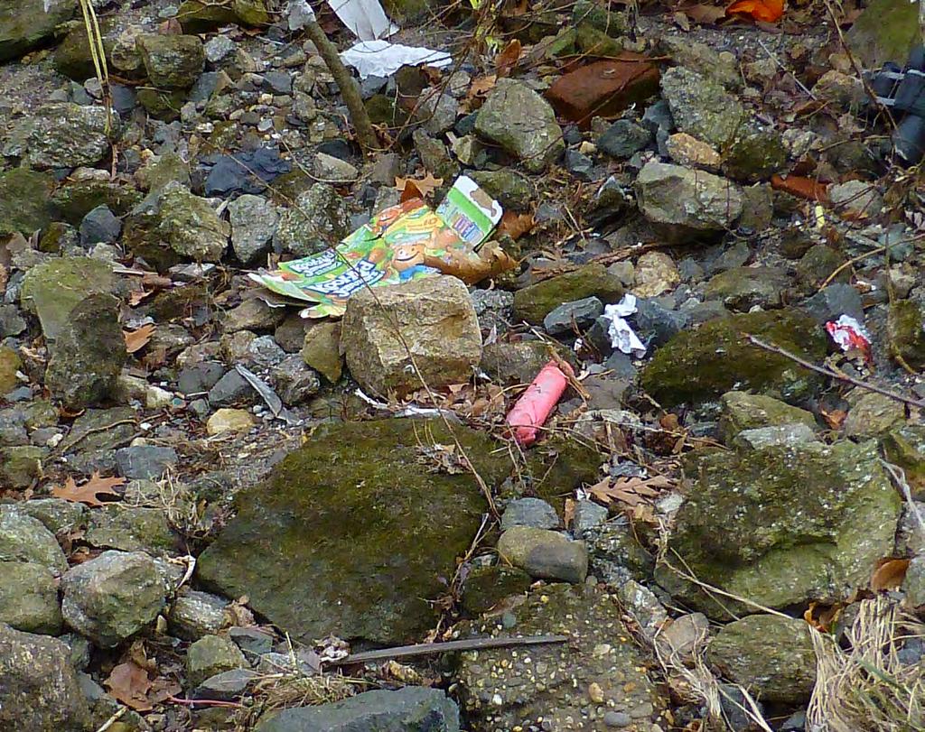 Some litter visible c.