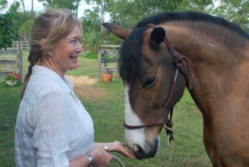 Keeping Your Horse Sound through Equine Massage Sara Stenson August 29 6 p.m. NNMHA Grounds Many of us know the benefits of massage for ourselves, but our equine partners can benefit greatly, too.