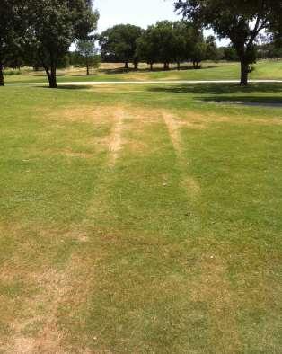 2012 - Management under single day irrigation Cart Restrictions Followed 90 degree rule in mornings Afternoons
