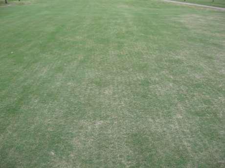 2011 - Managing with 30% less water Increased mowing height by 25% Increased aerification program