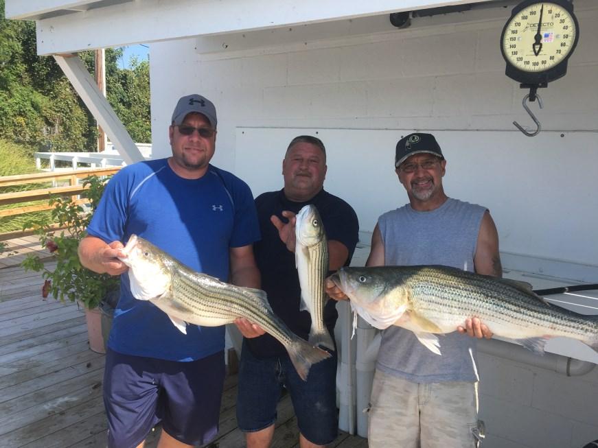 Fishing News Page 3 Surface water temperatures in the middle bay region are holding at about 70 degrees this week so not much has changed in regard of the progression of the striped bass fishery into
