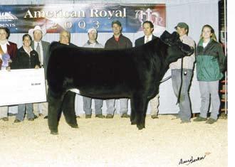 A former High Standards Sale standout that has established herself as one of the elite females in the business.