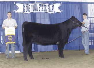 Consignor, Jones Show Cattle Both of these exceptional females are nominated for the She s a Lady
