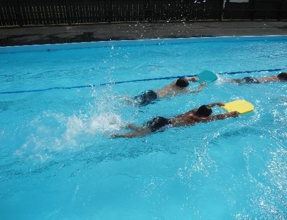 The whales always go in the pool at the deep end. What we do is freestyle, then we do backstroke and last we do breaststroke. My favourite position is backstroke.