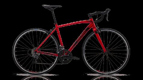 Road Bicycles: Designed for performance and speed, road bikes are light and meant to be ridden on paved roads.