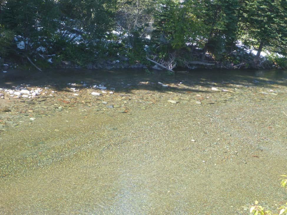 Driving vehicles in streams (clean parallel lines in stream gravel) causes serious harm to