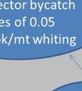 NMFS evaluated bycatch in bottom trawl