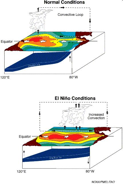 Niño-Southern Oscillation PDO: Pacific Decadal Oscillation Both ENSO and PDO are