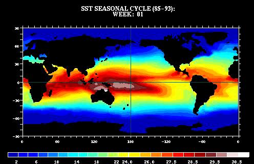 Mean Annual SST Cycle El Niño means The (Boy) Child, referring to the Christ Child,