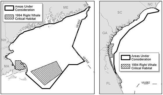 the Northeast Fisheries Science Center, there have been 19 right whale sightings off the coast of North Carolina from January 1, 2010 to May 2014.