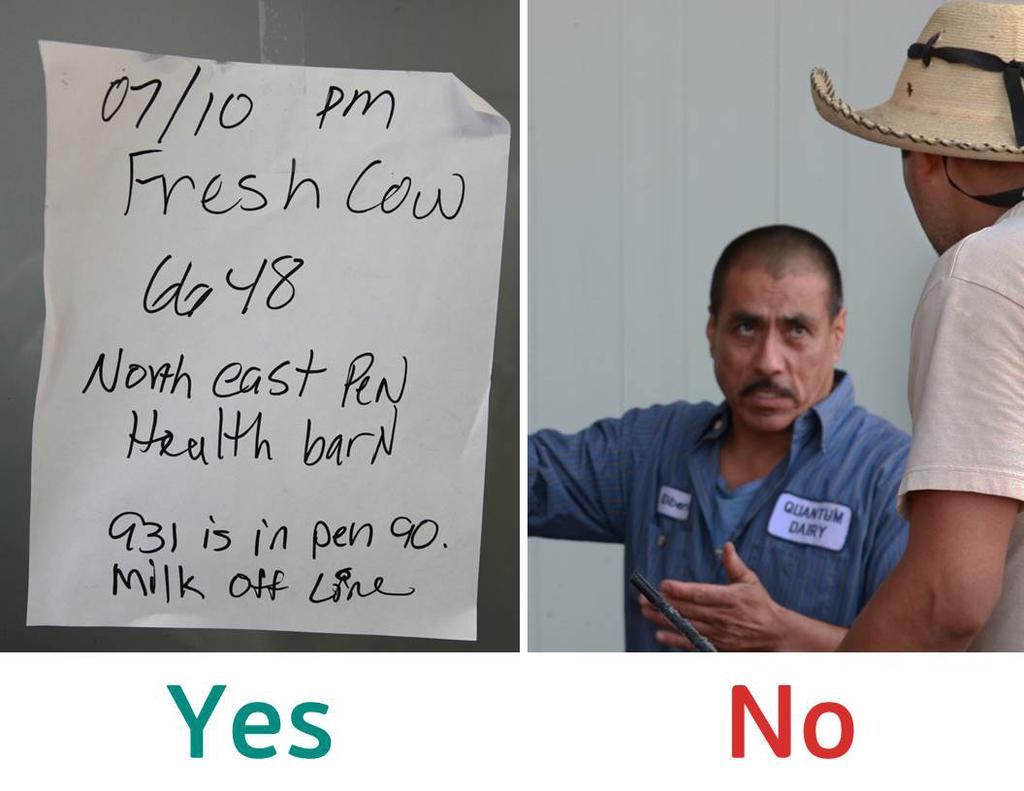 Raise the YES card if you think communicating risks to supervisor and coworkers is an example of farm safety policies and procedures.