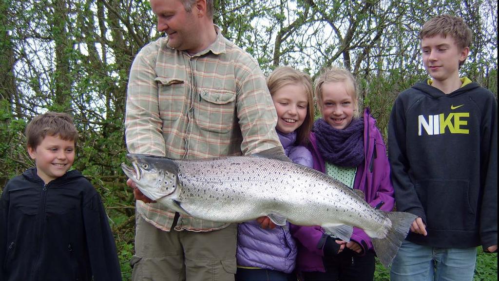 Anglers harvest a big seatrout for every 4-6 meters of trout streams with