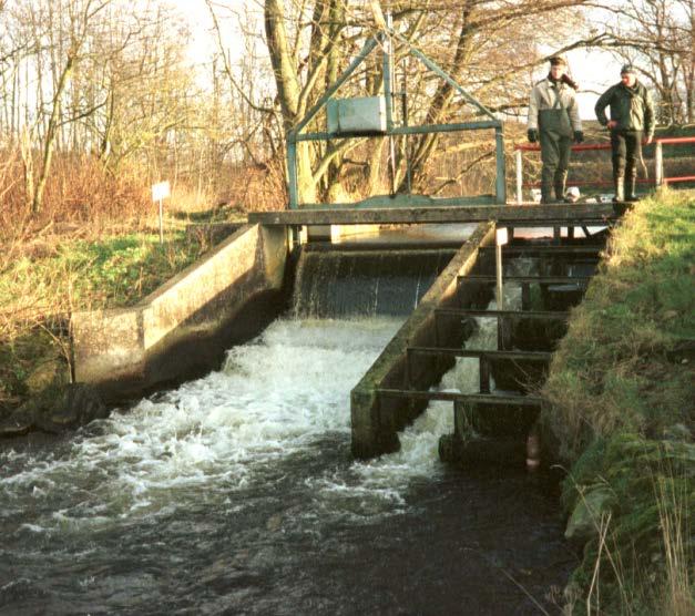 River Villestrup 1999:
