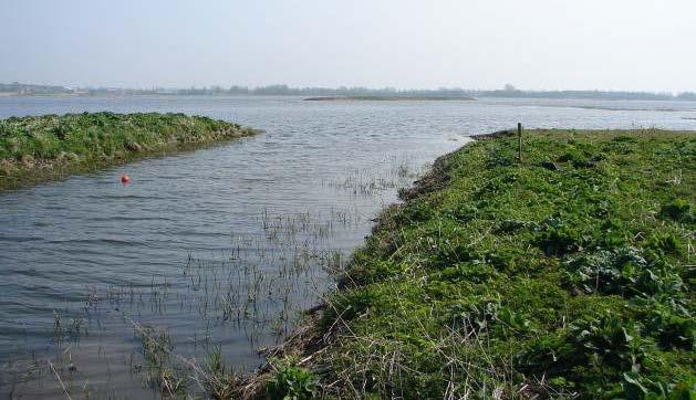 Egå Engsø established as a wetland in