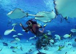 Why SCUBA Dive?