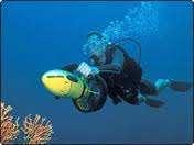 Almost anybody can SCUBA dive, WITHIN THEIR LIMITATIONS.