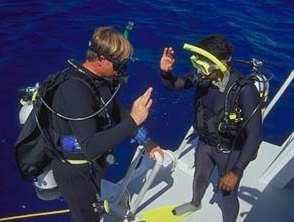 Buddy System The Buddy System is one of the most important concepts in Scuba Diving The following points help you keep track of your