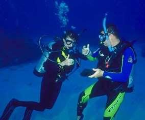 Plan your dive and dive your plan. Use the lost buddy procedure if you get separated.