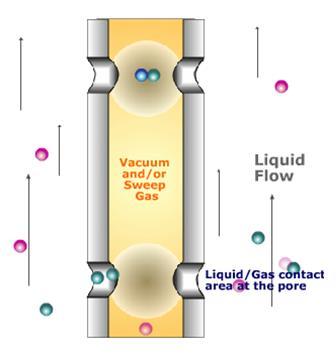 Gas Transfer with 3M Liqui-Cel Equilibrium between the liquid and gas phase is offset Forms difference between the partial pressure exerted by the gas species in the liquid and the partial pressure