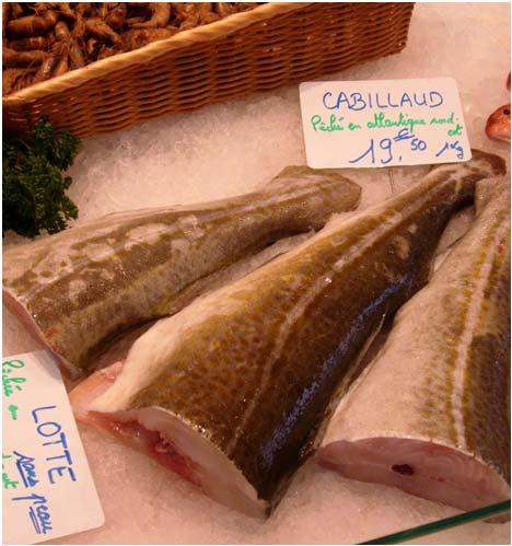 Willingness to Pay (WTP) per kg of Fish Reasonably well in line with market prices except for pangasius For wild monk 20.44 For wild cod 18.14 For salmon 17.78 For farmed cod 16.