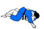 Tate-shiho-gatame escape ( clamping roll)
