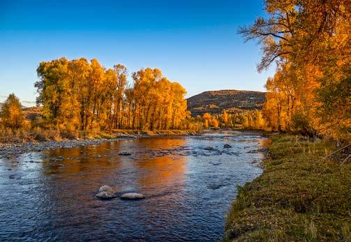 The Steamboat River Ranch has been professionally enhanced to improve the fishing and river habitat in order to maximize