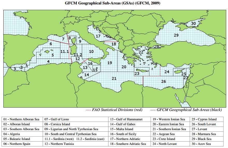 8.3 Western Mediterranean case study by Antoni Quetglas, Beatriz Guijarro, Enric Massutí (IEO) 8.3.1 Brief presentation of the CS and fisheries concerned The Western Mediterranean case study will