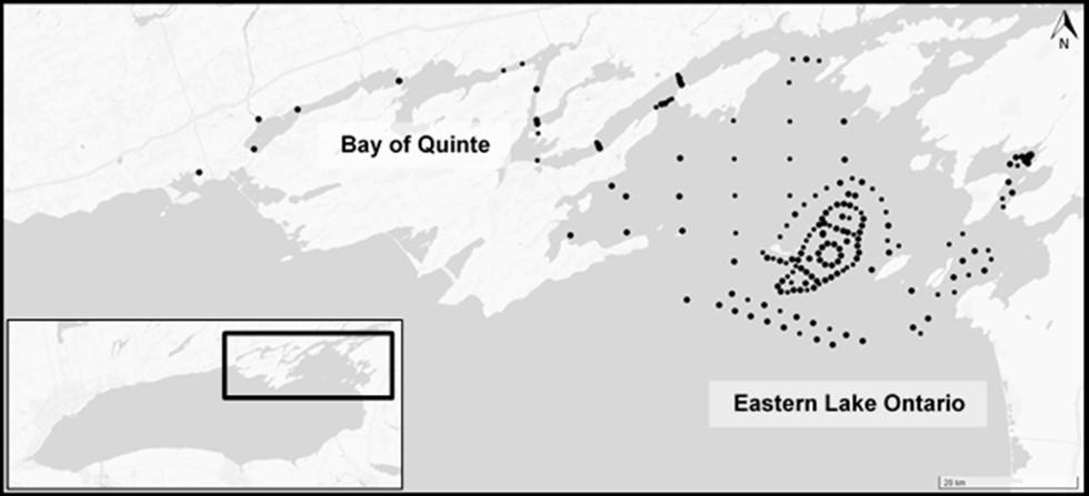 173 migrated towards eastern Lake Ontario (April- May). The majority of Walleye left the Bay within one month of being tagged, passing through the gap between Prince Edward County and Amherst Island.